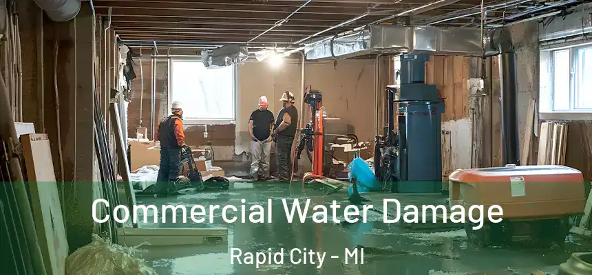 Commercial Water Damage Rapid City - MI