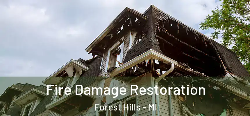 Fire Damage Restoration Forest Hills - MI