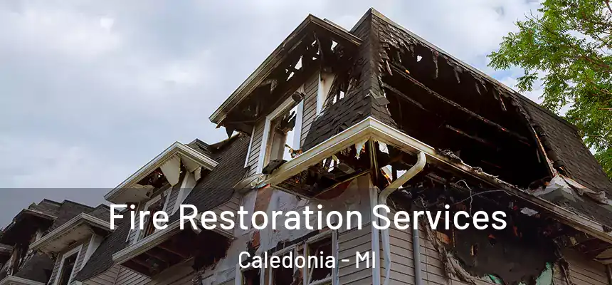 Fire Restoration Services Caledonia - MI