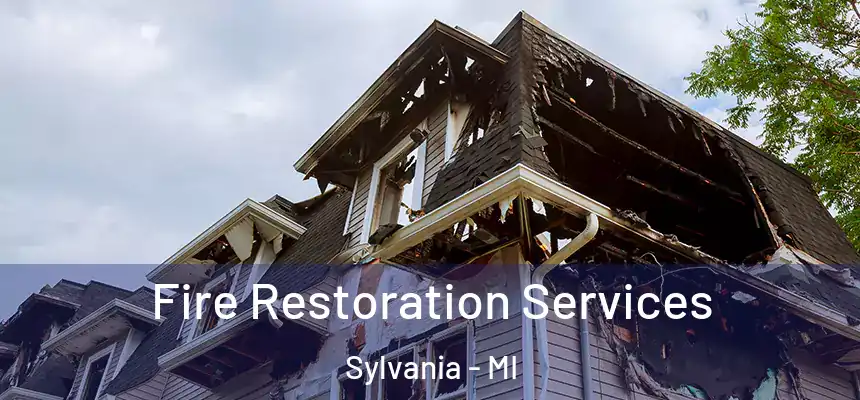  Fire Restoration Services Sylvania - MI