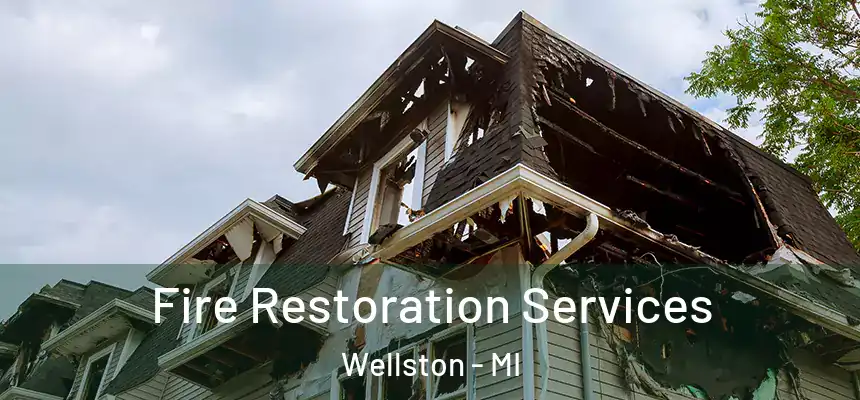 Fire Restoration Services Wellston - MI