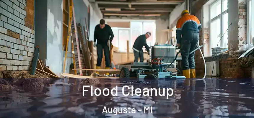Flood Cleanup Augusta - MI