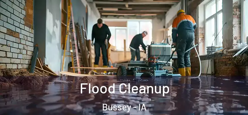  Flood Cleanup Bussey - IA