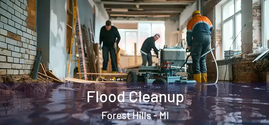  Flood Cleanup Forest Hills - MI