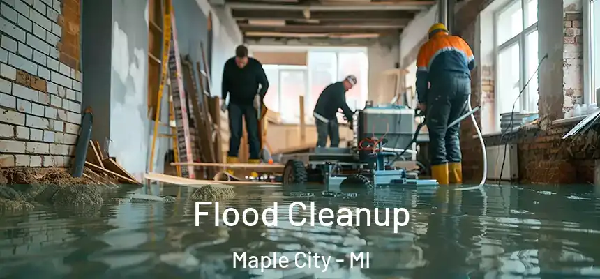  Flood Cleanup Maple City - MI