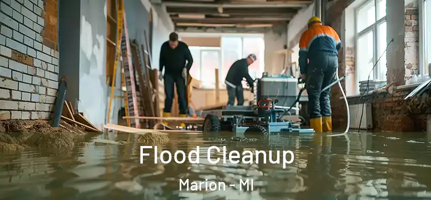 Flood Cleanup Marion - MI