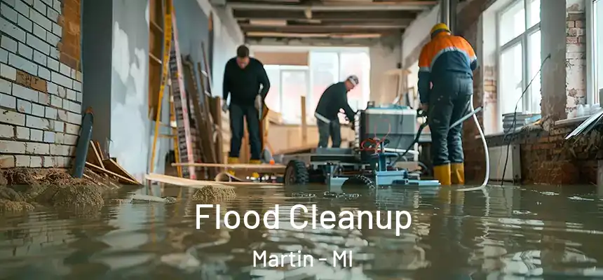  Flood Cleanup Martin - MI