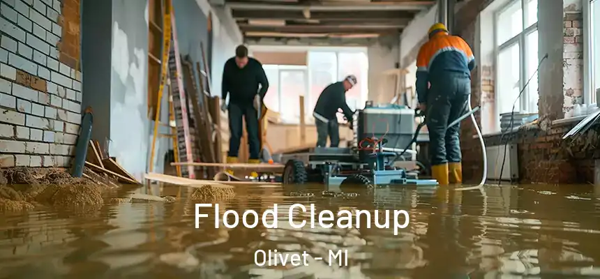  Flood Cleanup Olivet - MI