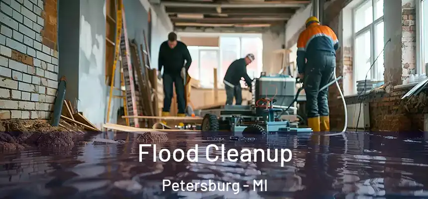  Flood Cleanup Petersburg - MI