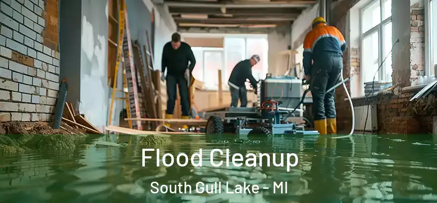  Flood Cleanup South Gull Lake - MI