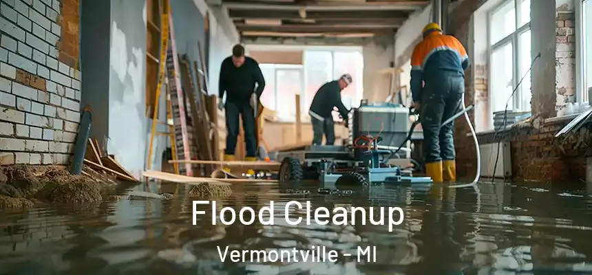 Flood Cleanup Vermontville - MI