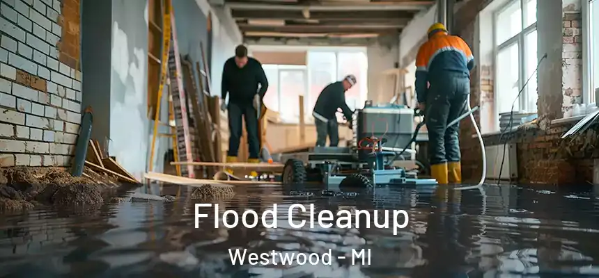 Flood Cleanup Westwood - MI