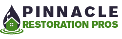 Pinnacle Restoration Pros