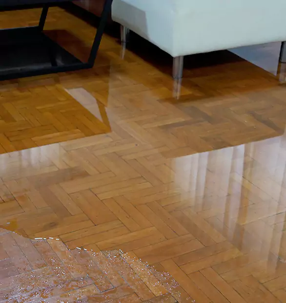 Trusted Emergency Water Restoration Company in Rapid City, MI