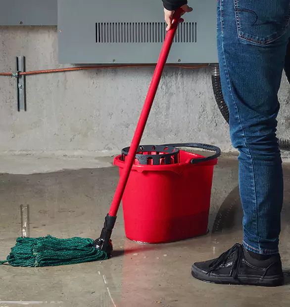 Trusted Sewage Cleanup Company in Rapid City, MI