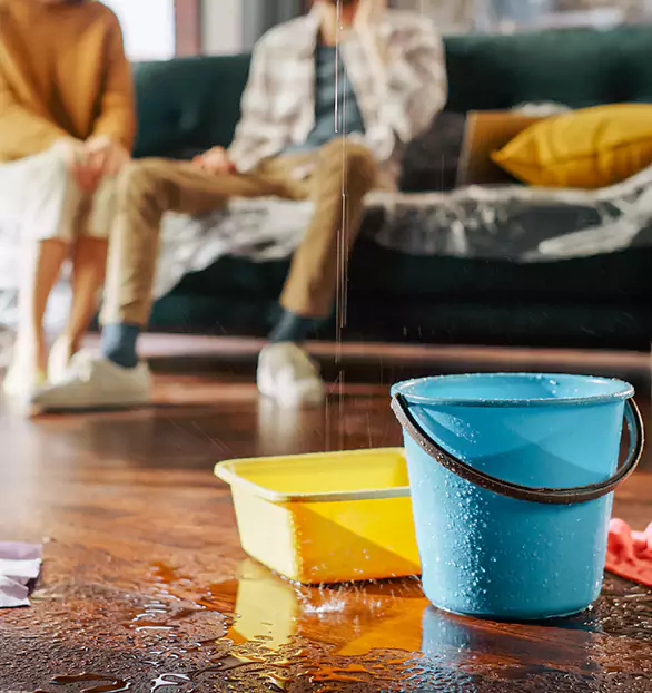 Reliable Water Mitigation Company in Rapid City, MI