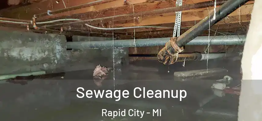  Sewage Cleanup Rapid City - MI
