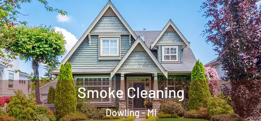  Smoke Cleaning Dowling - MI