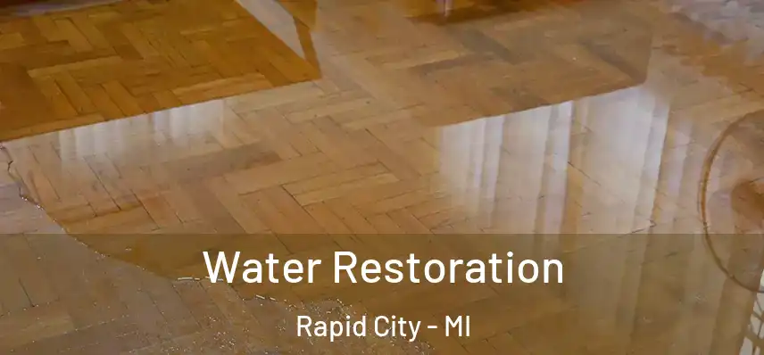  Water Restoration Rapid City - MI