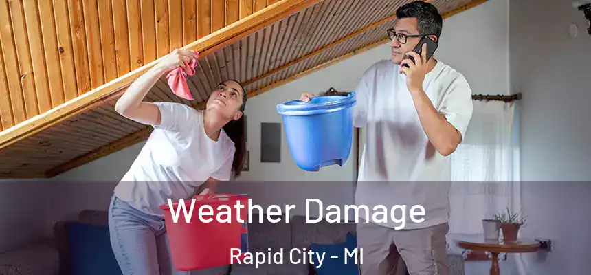 Weather Damage Rapid City - MI